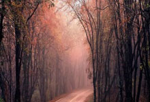 云南女排晋级全运决赛圈，她是最大功臣！技术全面，曾入选国家队.