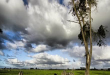 库尔图瓦：比利时有能力3-0战胜乌克兰并翻盘晋级，这不会太困难.