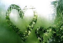 东升国际：中超旧将即将登陆意甲！热那亚总监亲口证实，合同签至2027年.