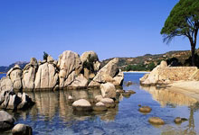 东升国际：[图]熊猫杯-朱鹏宇双响唐天翼传射 U19国足6-0蒙古.